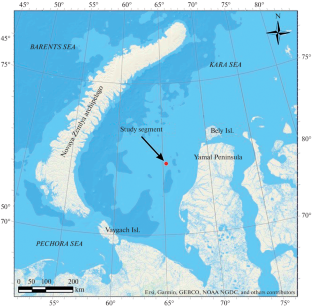 The Possibilities of On-Board Gravimetric and Hydromagnetic Surveys in Solving Engineering-Geological Problems on the Shelf