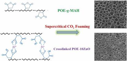 Preparation and microcellular foaming of crosslinked polyethylene-octene elastomer by ionic modification