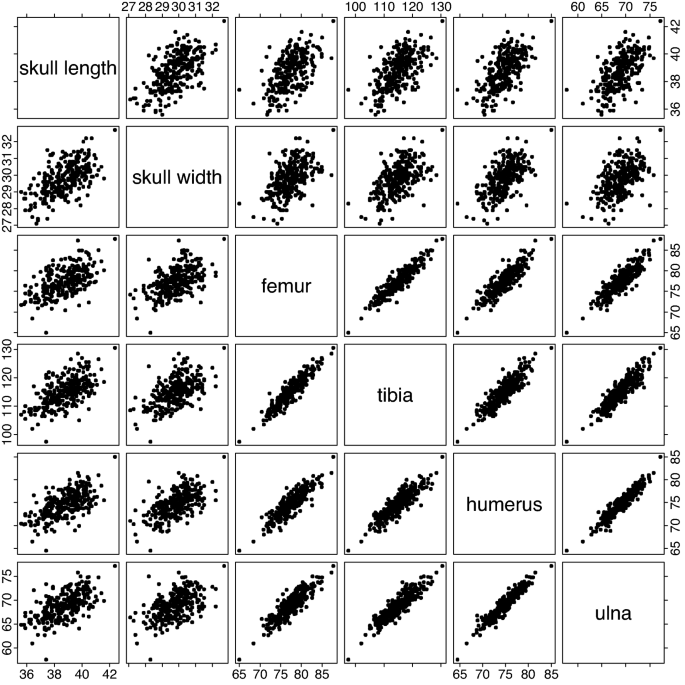 Dimensions of Morphological Integration