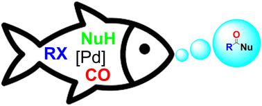 Palladium-catalyzed carbonylation of activated alkyl halides via radical intermediates