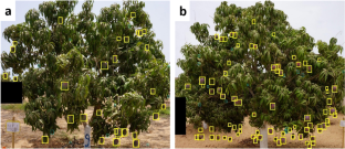 Assessing production gaps at the tree scale: definition and application to mango (Mangifera indica L.) in West Africa