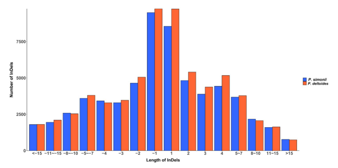 Investigation of genome-wide InDel distribution and segregation in Populus with restriction-site associated DNA sequencing data