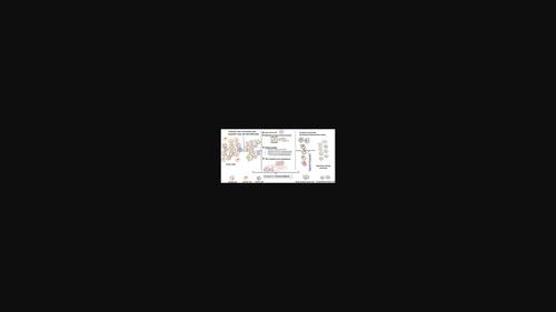 Recent advances in the molecular basis of chemotherapy resistance and potential application of epigenetic therapeutics in chemorefractory renal cell carcinoma.