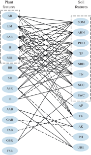 Effects of Grazing Exclusion on Vegetation and Soil Properties of a Leymus chinensis Steppe in China