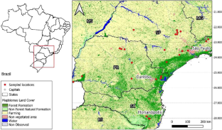 Forest cover positively affects the occurrence of understory insectivorous Passeriformes in bird communities of the Atlantic Forest