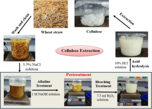 Modification of cellulose with TiO2 nanoparticles: Potential solar driven photocatalyst and adsorbent