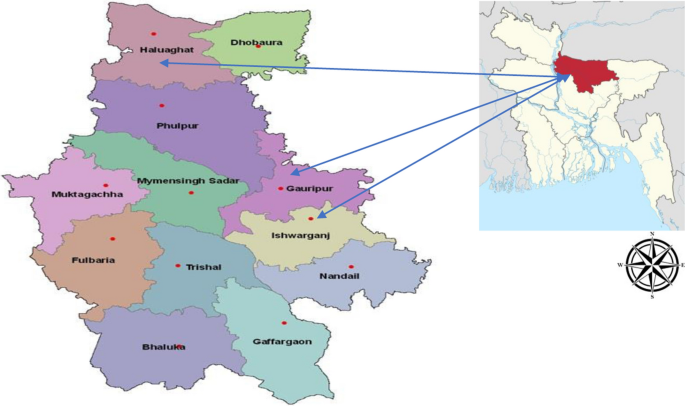 Impact of Household Interventions on Homestead Biodiversity Management and Household Livelihood Resilience: An Intertemporal Analysis from Bangladesh