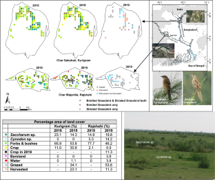 Differential responses to habitat structure and degradation by two Grassbirds (Fam. Locustellidae) syntopic in floodplain grassland