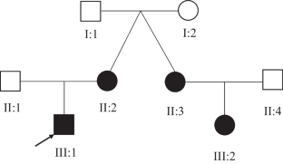 A novel heterozygous ZBTB18 missense mutation in a family with non-syndromic intellectual disability.