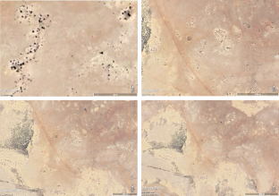 A Box in the Desert: Using Open Access Satellite Imagery to Map the 151st Infantry Brigade’s Field Defences on the Gazala Line, 1942