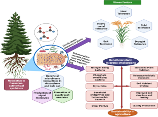 Frankia-actinorhizal symbiosis: a non-chemical biological assemblage for enhanced plant growth, nodulation and reclamation of degraded soils