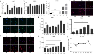 Microglial Priming in Bilirubin-Induced Neurotoxicity.