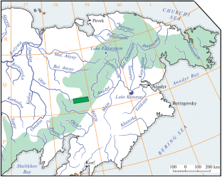 The Ayanka Flora from the Upper Cretaceous of Northeastern Russia