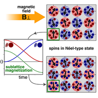 Switching the Magnetization in Quantum Antiferromagnets