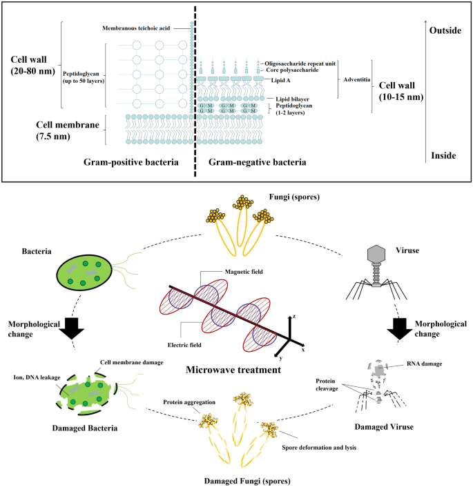 A Review and Perspective of Environmental Disinfection Technology Based on Microwave Irradiation