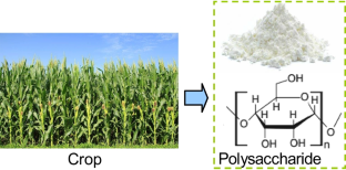 Study on Polysaccharide Bonded Abrasive Tool Using Hydrothermal Gelatinisation for Green Machining of Single Crystal Sapphire