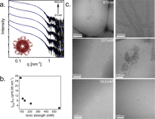 Effect of ionic strength on the assembly of simian vacuolating virus capsid protein around poly(styrene sulfonate)