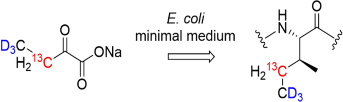 Synthesis of a <sup>13</sup>C-methylene-labeled isoleucine precursor as a useful tool for studying protein side-chain interactions and dynamics.