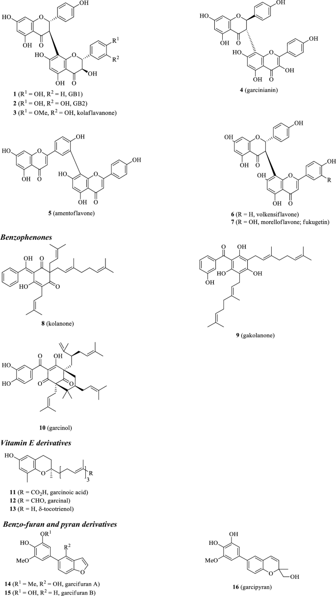 Garcinia kola: a critical review on chemistry and pharmacology of an important West African medicinal plant