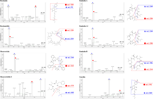 Rapid analysis of insecticidal metabolites from the entomopathogenic fungus Beauveria bassiana 331R using UPLC-Q-Orbitrap MS.