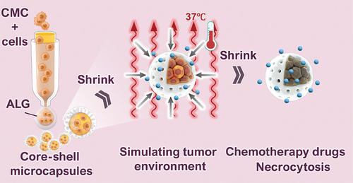 Pancreatic cancer cell line in responsive hydrogel microcapsules for drug evaluation