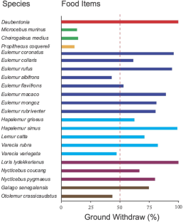 Evolutionary History of food Withdraw Movements in Primates: Food Withdraw is Mediated by Nonvisual Strategies in 22 Species of Strepsirrhines