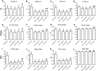 Effects of ligandrol as a selective androgen receptor modulator in a rat model for osteoporosis.