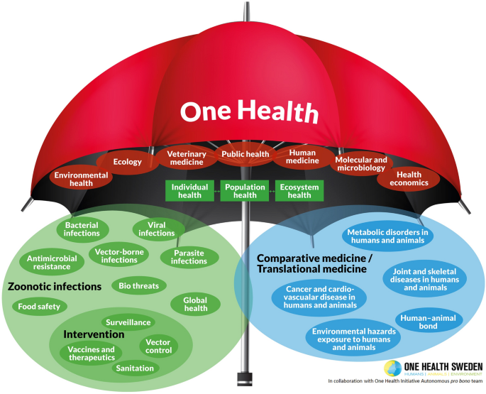 Who is the biological patient? A new gradational and dynamic model for one health medicine.