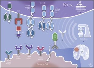 Optimizing CAR-T Therapy for Glioblastoma.