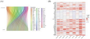 A Cuproptosis-Related LncRNA Risk Model for Predicting Prognosis and Immunotherapeutic Efficacy in Patients with Hepatocellular Carcinoma.