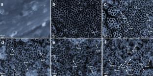 Nickel depositing in TiO2 nanotube photoanode with promoted photoelectrochemical response