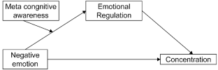 The Effect of negative emotion on concentration through emotional regulation: mediated moderation of Metacognitive Awareness