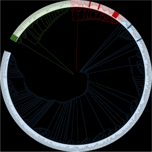 Genetic diversity, population structure, and clonal verification in South African avocado cultivars using single nucleotide polymorphism (SNP) markers