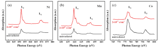 Effect of Electron Irradiation on Electronic Structure of Ni_41Co_6Mn_43Sn_10 Alloys