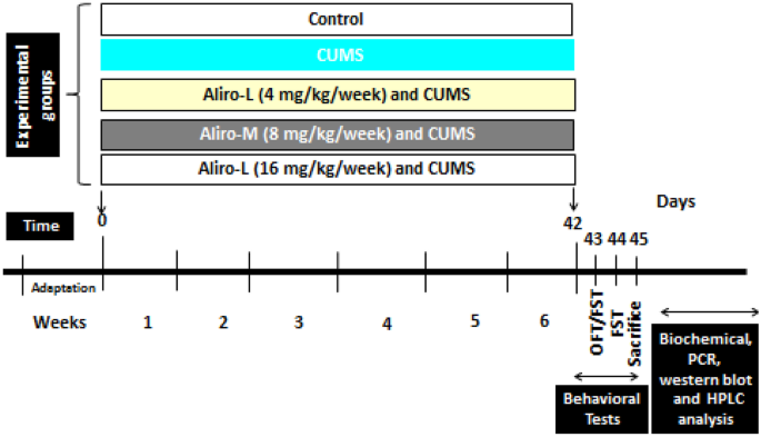 PCSK9 Inhibition Reduces Depressive like Behavior in CUMS-Exposed Rats: Highlights on HMGB1/RAGE/TLR4 Pathway, NLRP3 Inflammasome Complex and IDO-1.