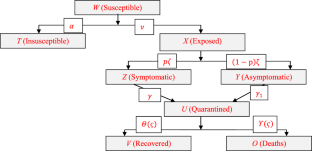 Global stability of novel coronavirus model using fractional derivative