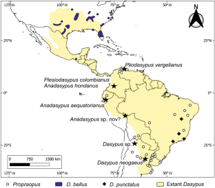 Geometric morphometrics as a tool to identify Dasypodini osteoderms: Implications for the oldest records of Dasypus