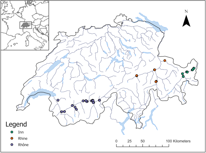 Scale-dependent patterns and drivers of vascular plant, bryophyte and lichen diversity in dry grasslands of the Swiss inneralpine valleys