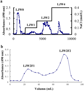 A homogalacturonan from Lonicera japonica Thunb. disrupts angiogenesis via epidermal growth factor receptor and Delta-like 4 associated signaling.