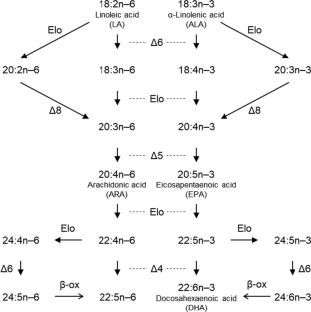 Capability of DHA biosynthesis in a marine teleost, Pacific saury Cololabis saira: functional characterization of two paralogous Fads2 desaturases and Elovl5 elongase