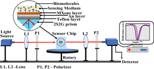 Detection of Infected and Normal Blood Sample Containing Plasma Using Long-Range Surface Plasmon Resonance Sensor