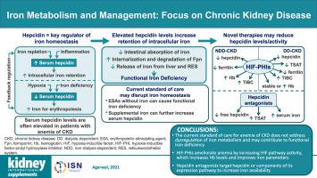 Iron metabolism and management: focus on chronic kidney disease