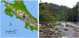 Co-occurring epiphytic orchids have specialized mycorrhizal fungal niches that are also linked to ontogeny.