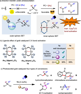 Excited-state gold catalyzed activation of inert C–Cl bonds