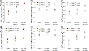 Paclobutrazol Improves the Chlorophyll Content and Antioxidant Activities of Red Rice in Response to Alkaline Stress