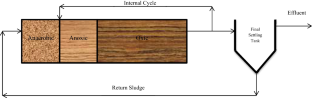 Kinetic coefficients of cell growth and removal of organic substances for modeling Anaerobic-anoxic-aerobic method