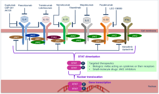 Targeting cytokines and signaling molecules related to immune pathways in atopic dermatitis: therapeutic implications and challenges