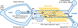 Numerical simulation-based performance improvement of the separation of circulating tumor cells from bloodstream in a microfluidic platform by dielectrophoresis