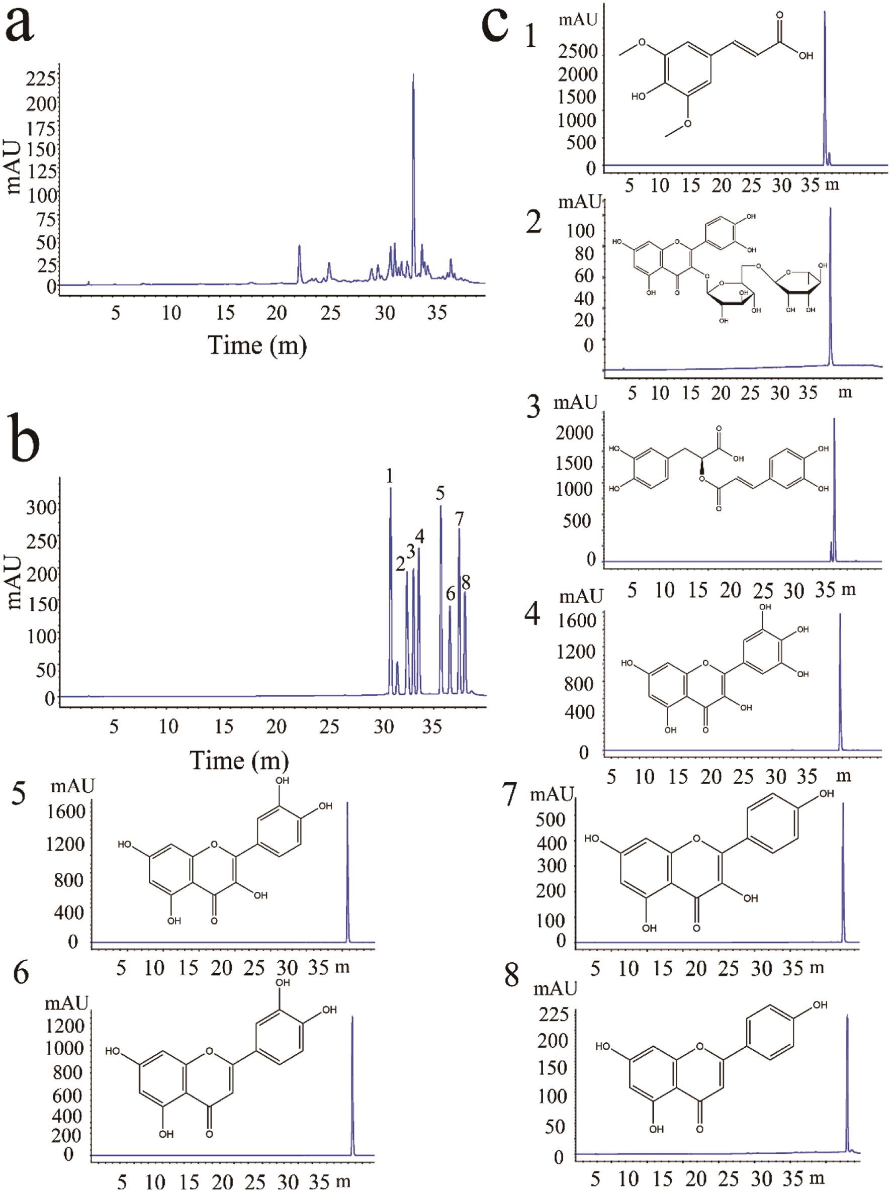 Treatment with Gaoziban Tablet Ameliorates Depression by Promoting GSK-3β Phosphorylation to Enhance the Wnt/β-catenin Activation in the Hippocampus of Rats