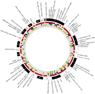 A Summary on the Genetics of Systemic Lupus Erythematosus, Rheumatoid Arthritis, Systemic Sclerosis, and Sjögren's Syndrome.